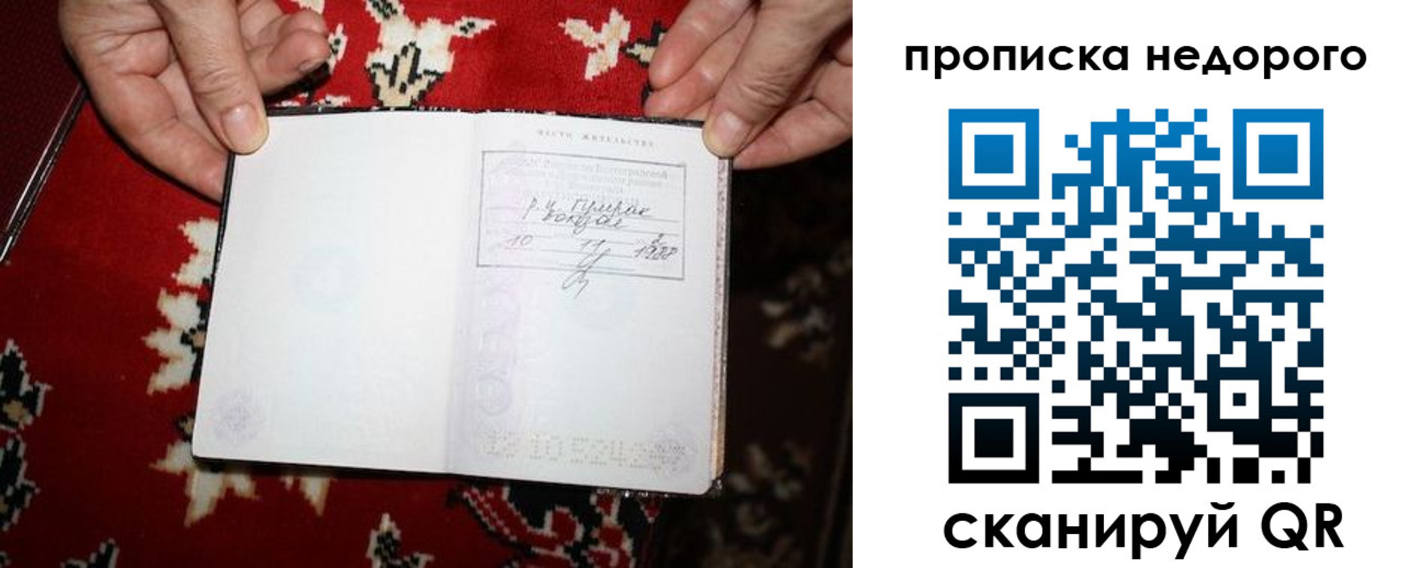 прописка гарантия в Михайловке